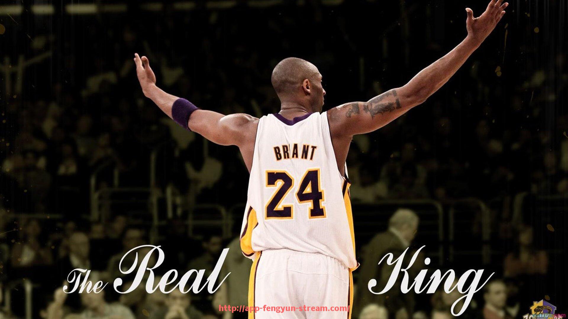 风云直播-健身器械品牌全览及各类设备技术参数分析