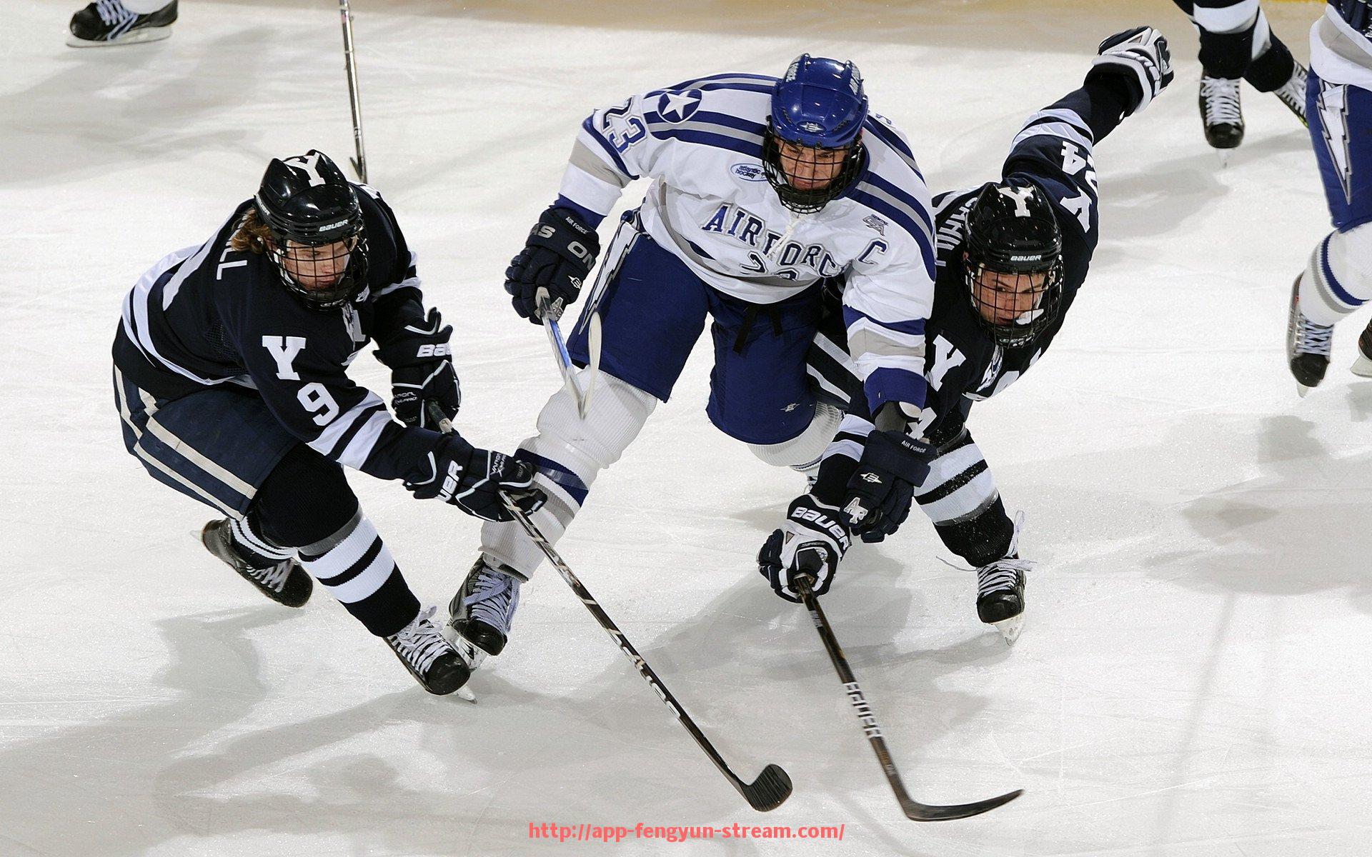 风云直播-弗拉门戈球迷论坛话题热度飙升，讨论战术与球员状态